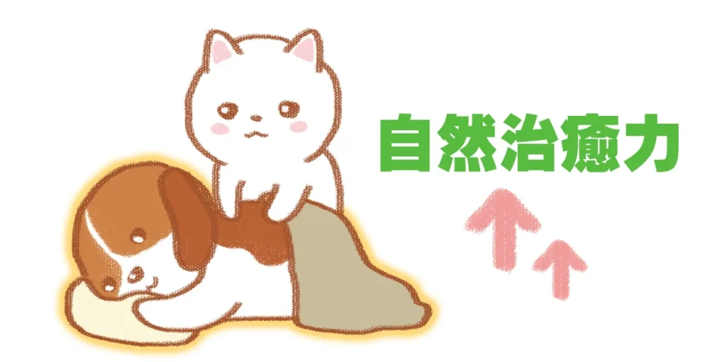 自然治癒力を高め、症状の緩和と改善を目指す鍼灸治療