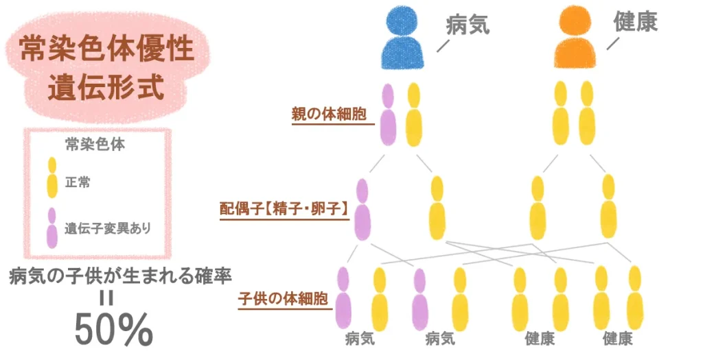 1/2の遺伝確率で子供、孫に遺伝する常染色体優性遺伝形式の図