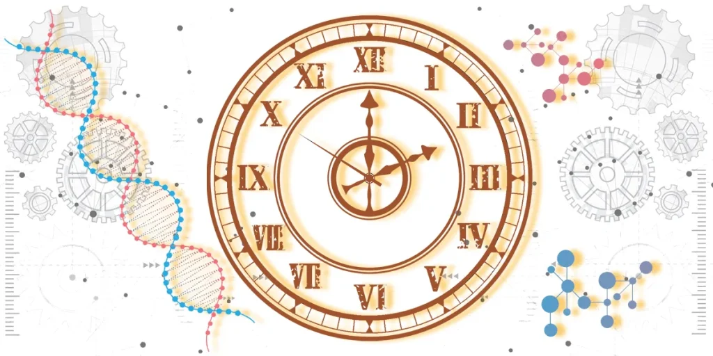 脊髄小脳変性症の進行は病型によって異なる