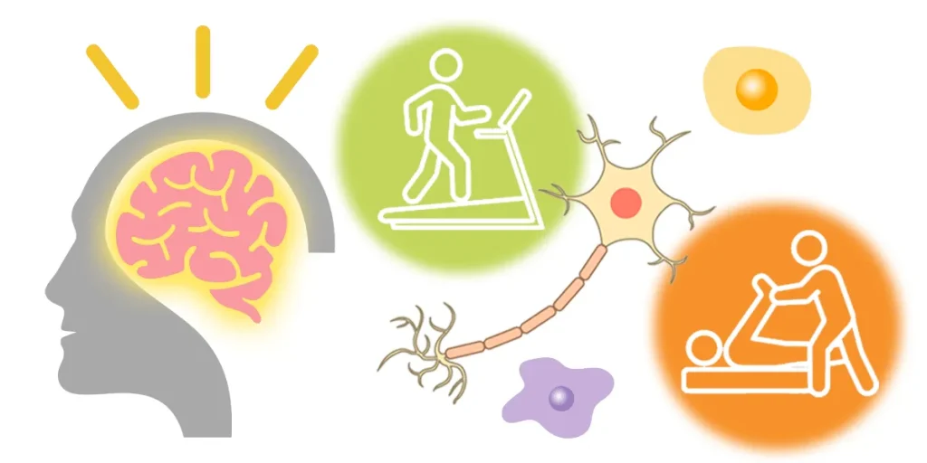 集中的なリハビリで運動失調の程度を示すSARAスコアが改善