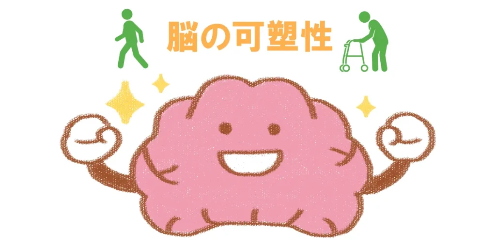 リハビリは脳の可塑性を引き出し動きのコツを再学習する