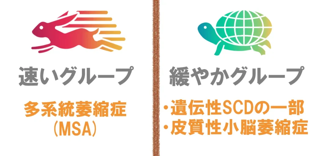 脊髄小脳変性症の経過は型によって大きく異なる