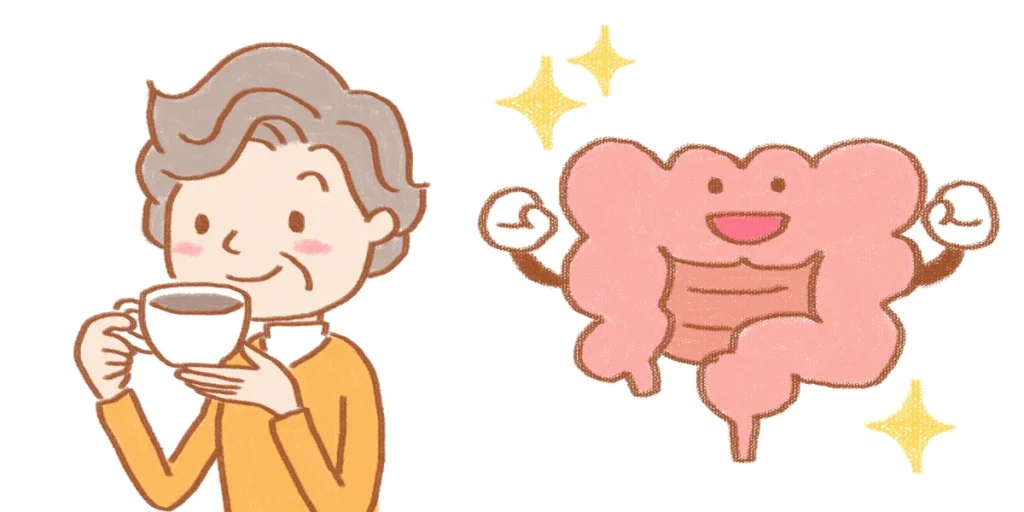 カフェインの働きで腸の動きが活発に