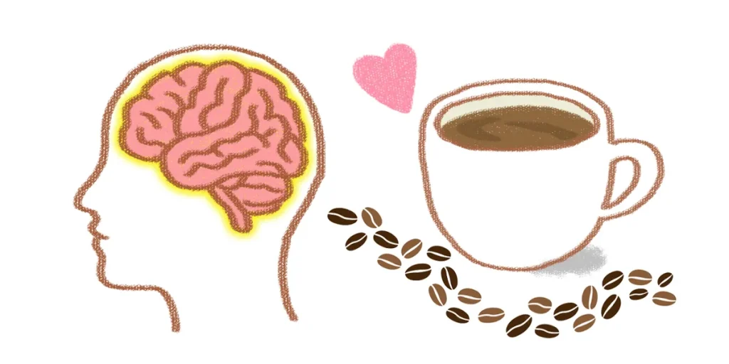 カフェインは脳神経細胞が傷つくのを防ぐ