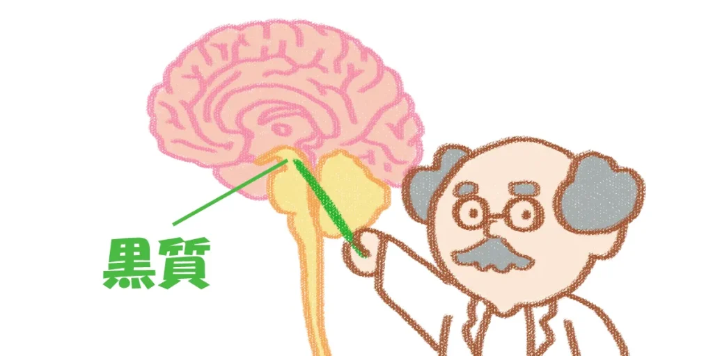 黒質を現した図