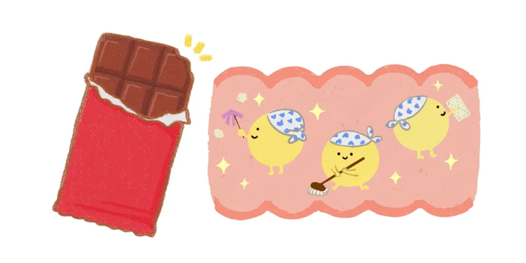 適量のチョコレートはお腹の調子を整える