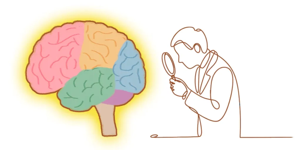 脊髄小脳変性症はMRIで小脳萎縮を確認する